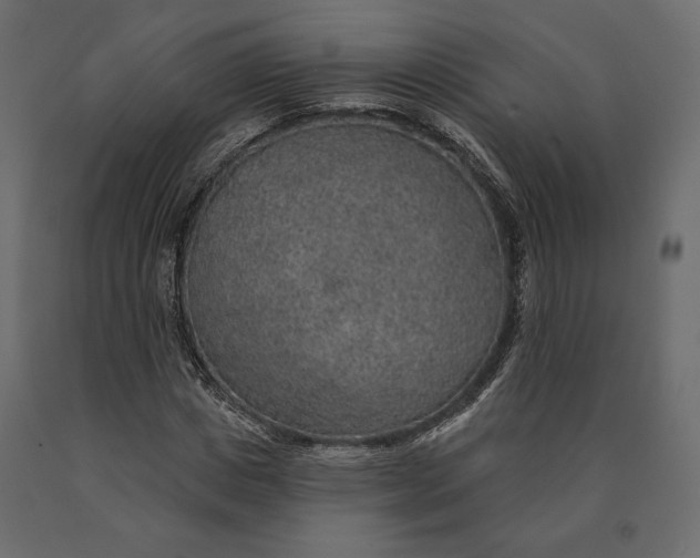 X0000090440825200708031152