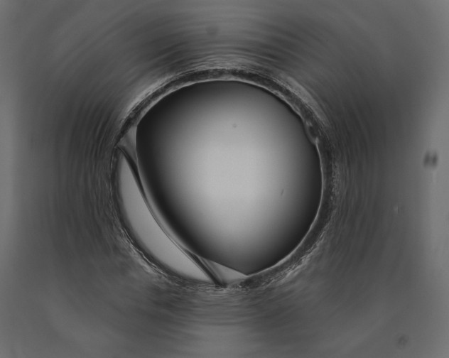 X0000090440826200708031152