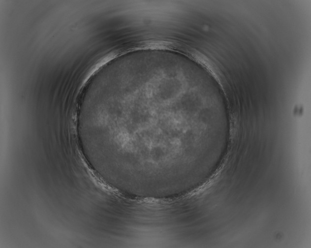 X0000090440827200708031152