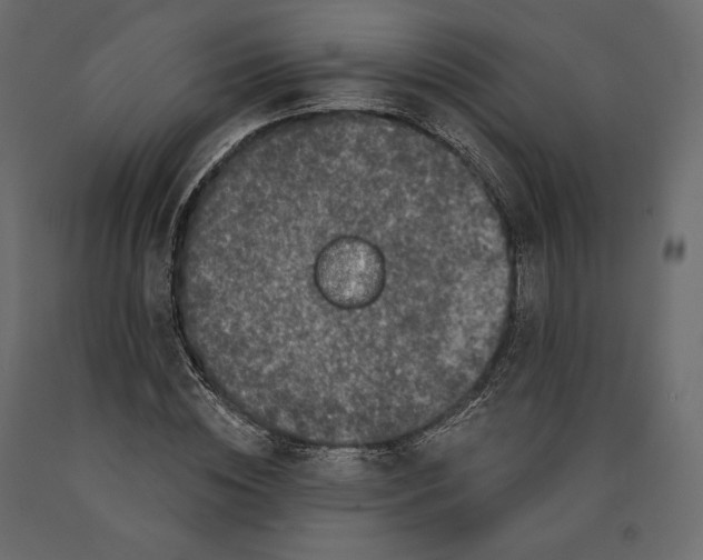 X0000090440828200708031152