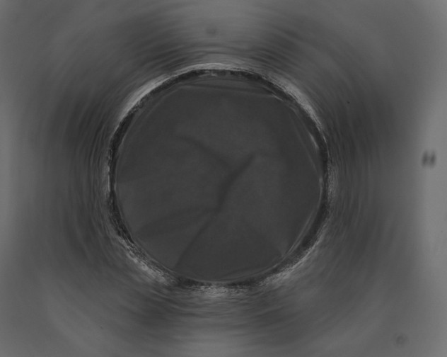 X0000090440829200708031152