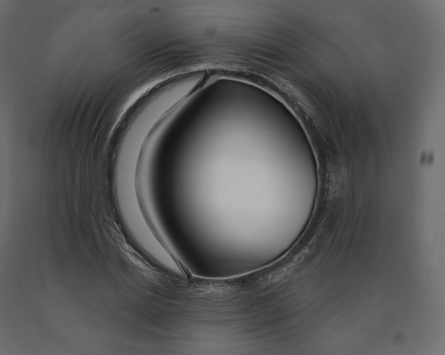 X0000090440830200708031152