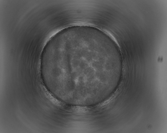 X0000090440831200708031152