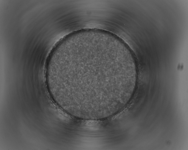 X0000090440832200708031152