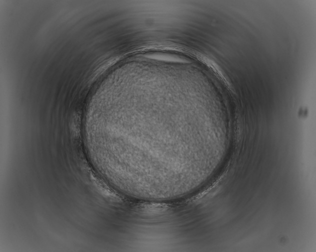 X0000090440833200708031152