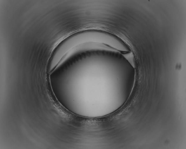 X0000090440834200708031152