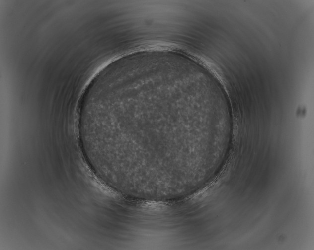 X0000090440835200708031152