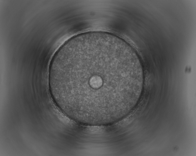 X0000090440836200708031152