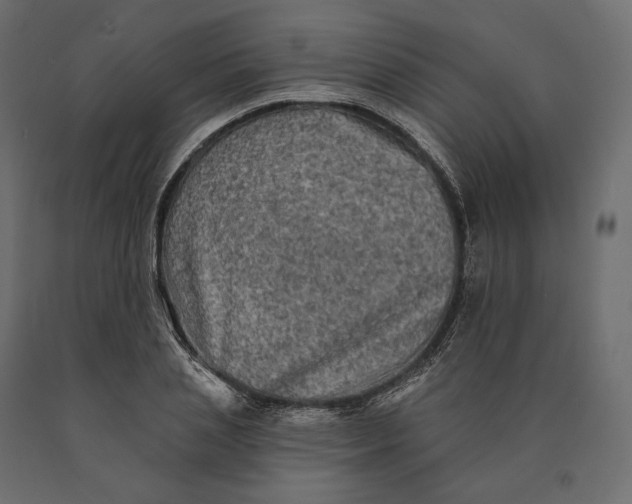 X0000090440837200708031152