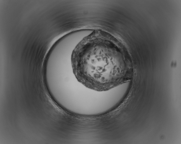 X0000090440838200708031152