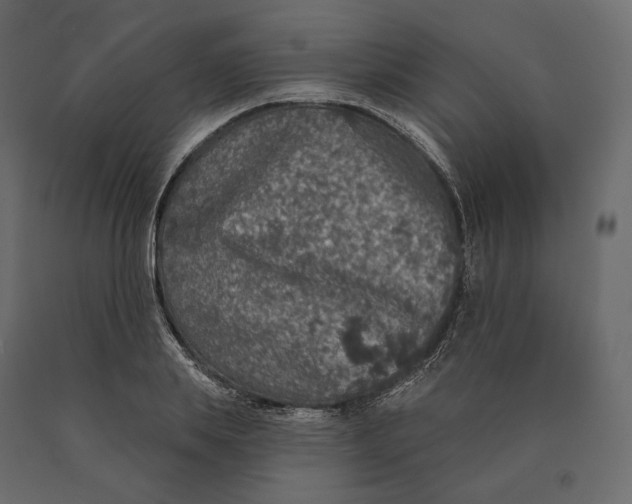 X0000090440839200708031152