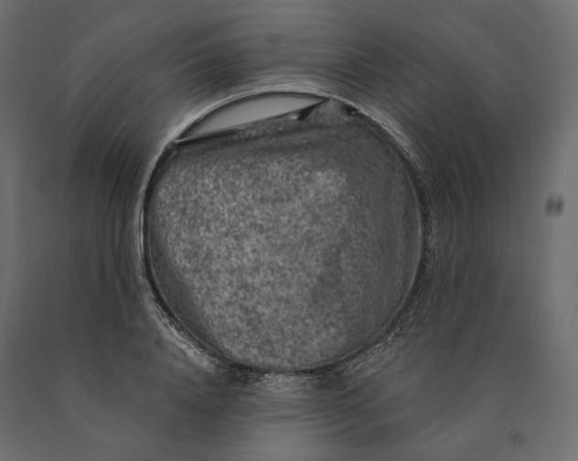 X0000090440840200708031152