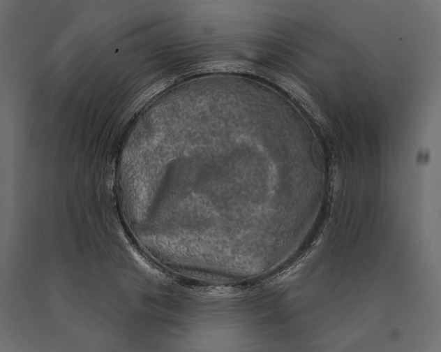 X0000090440841200708031152