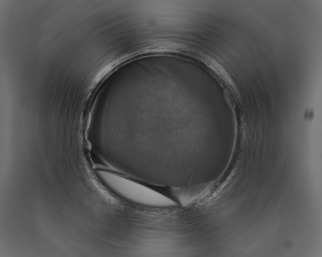 X0000090440842200708031152