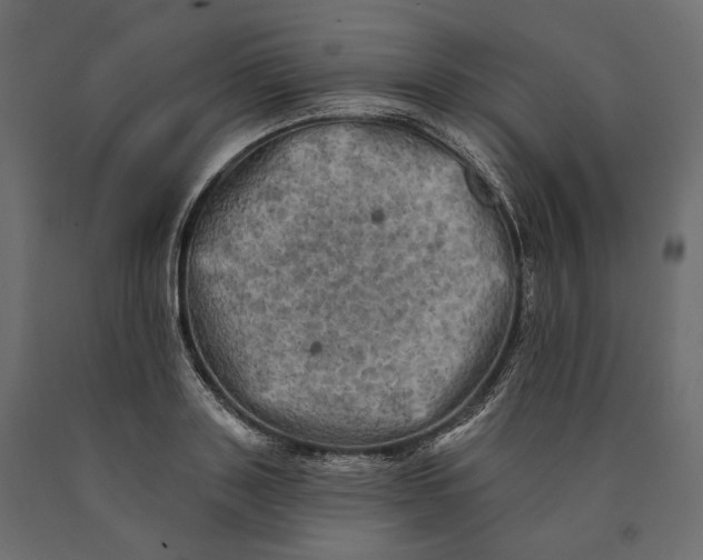 X0000090440843200708031152