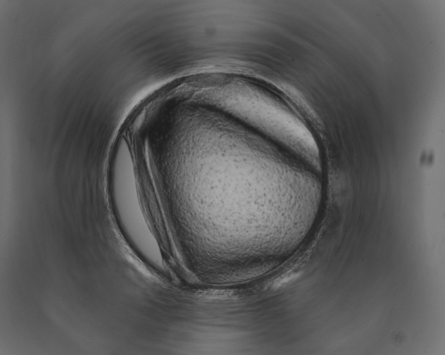 X0000090440846200708031152