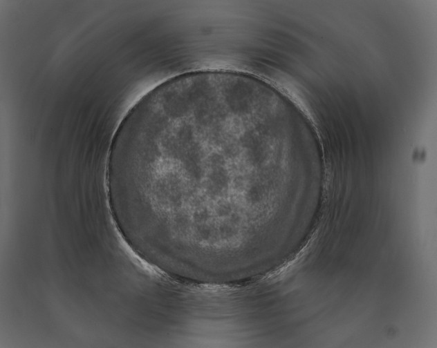 X0000090440847200708031152