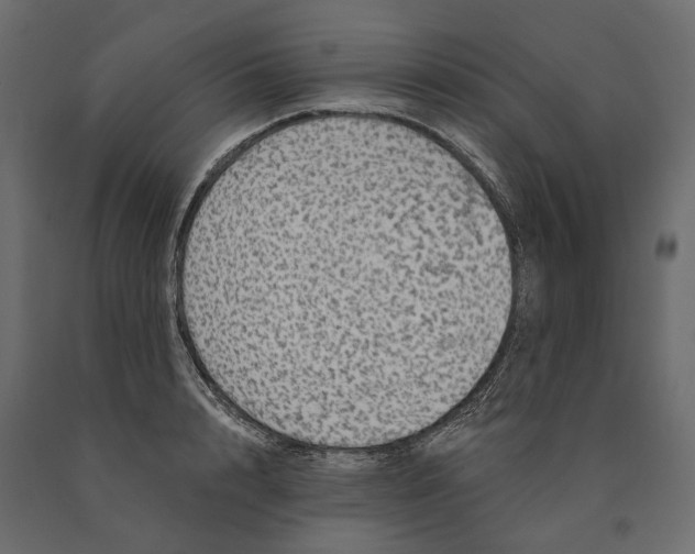 X0000090440848200708031152