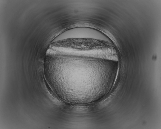 X0000090440849200708031152