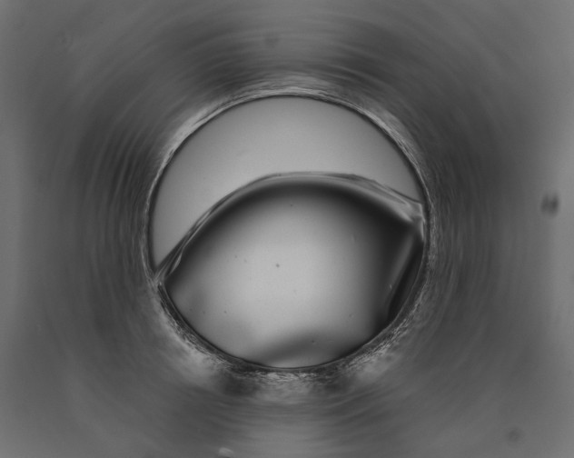 X0000090440850200708031152