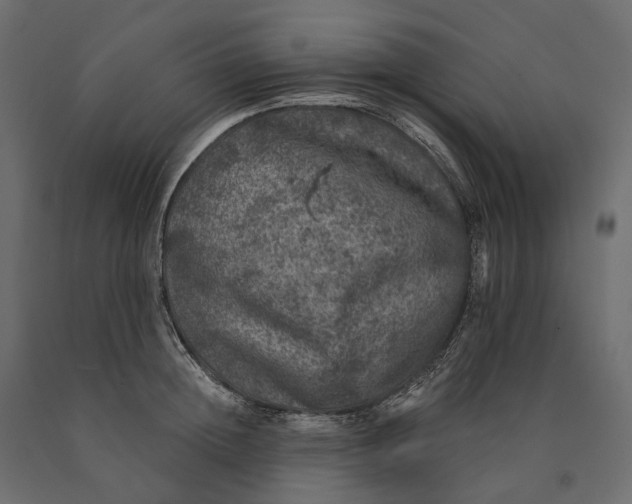 X0000090440852200708031152