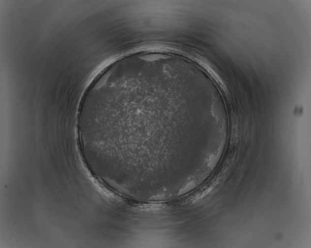 X0000090440853200708031152