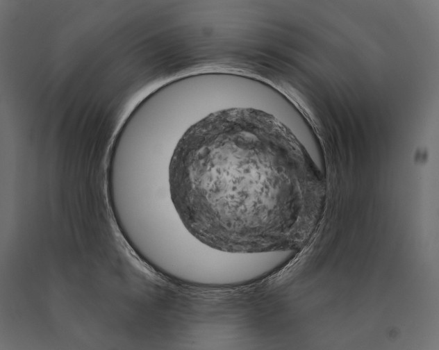 X0000090440854200708031152