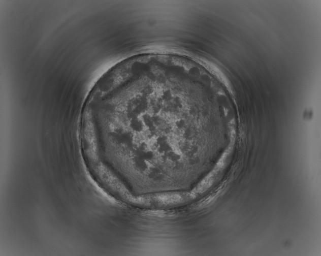 X0000090440855200708031152