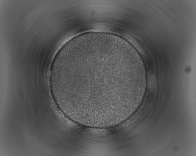 X0000090440856200708031152