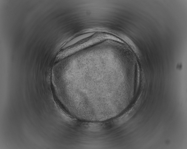 X0000090440857200708031152