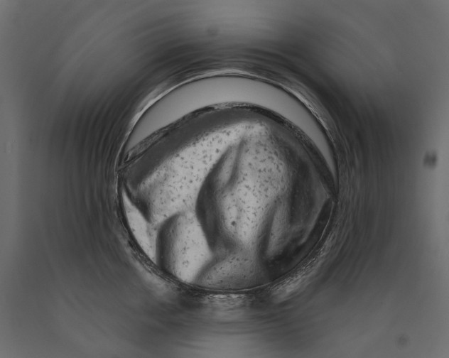 X0000090440858200708031152