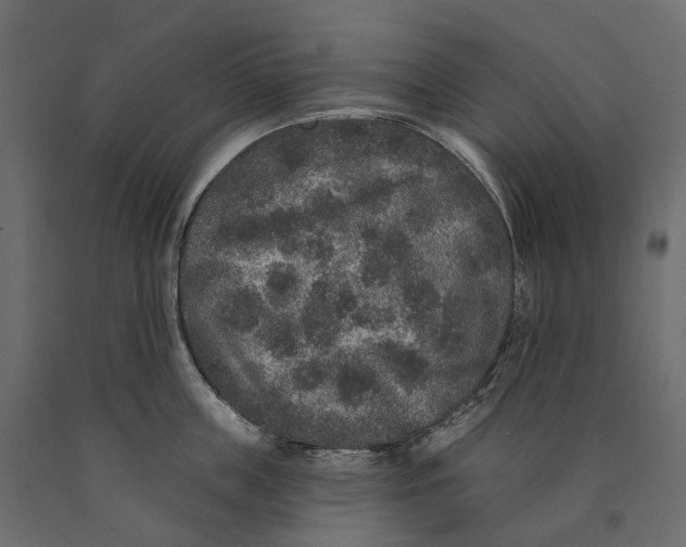 X0000090440859200708031152