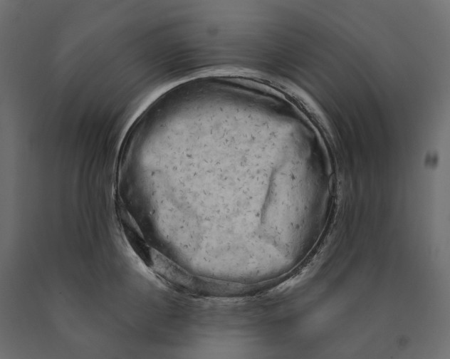 X0000090440860200708031152