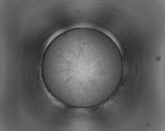 X0000090440861200708031152