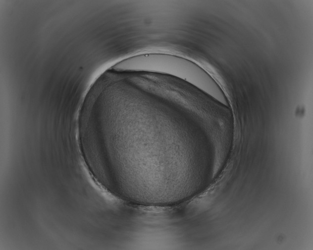 X0000090440862200708031152