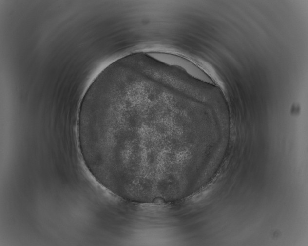 X0000090440863200708031152