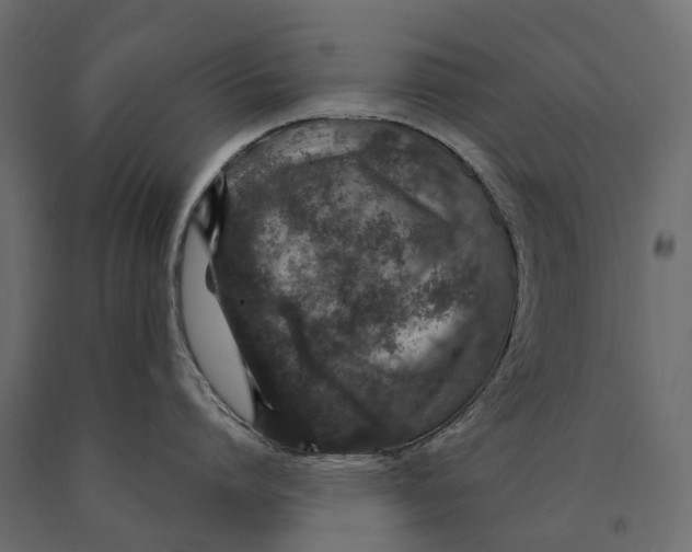 X0000090440864200708031152