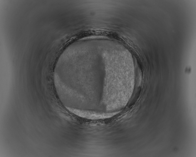 X0000090440865200708031151