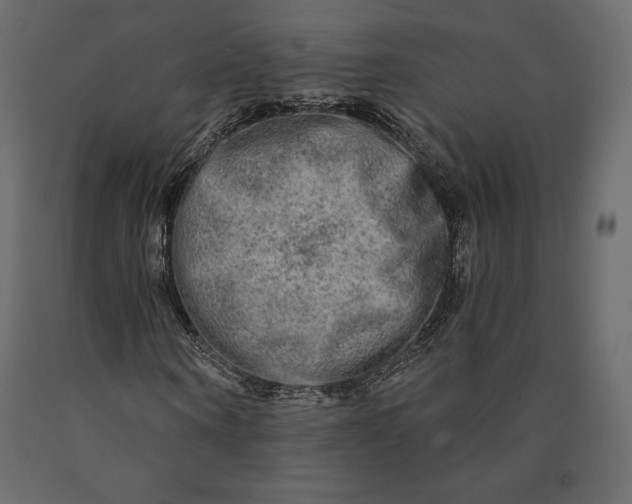 X0000090440866200708031151