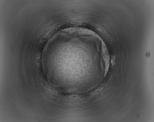 X0000090440867200708031151