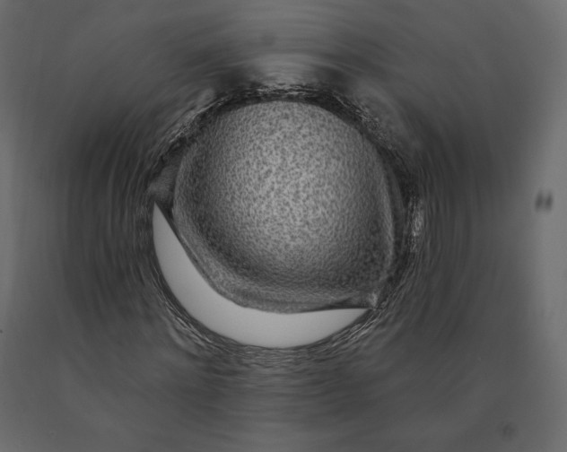 X0000090440868200708031151