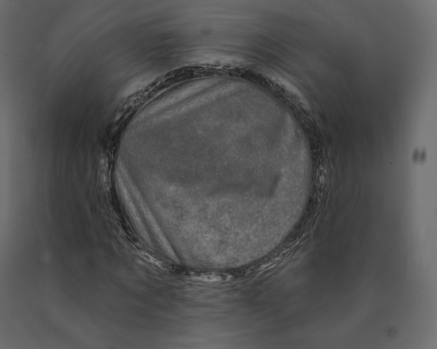 X0000090440869200708031151