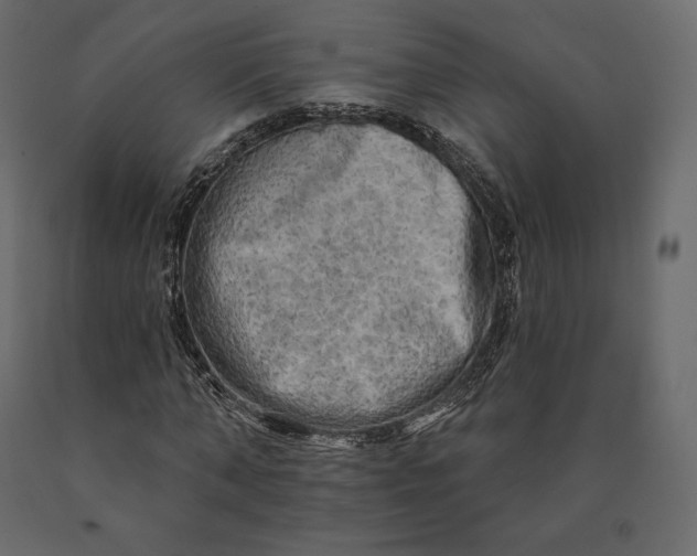 X0000090440870200708031151