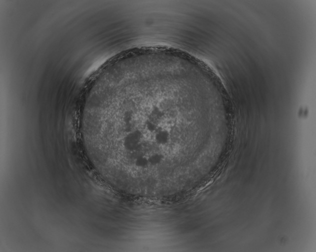 X0000090440871200708031151