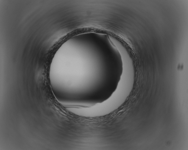 X0000090440872200708031151