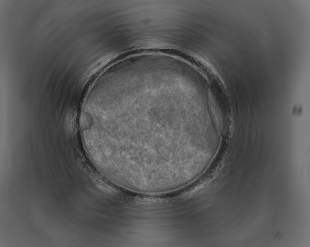 X0000090440873200708031151