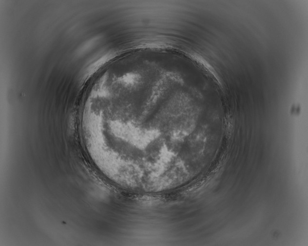 X0000090440874200708031151