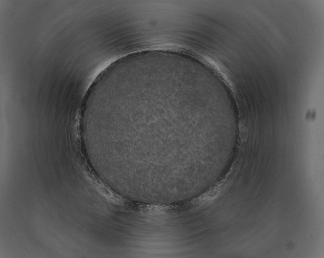 X0000090440875200708031151