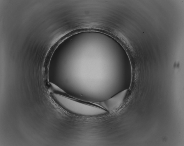 X0000090440876200708031151