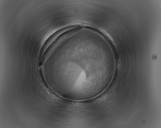 X0000090440877200708031151